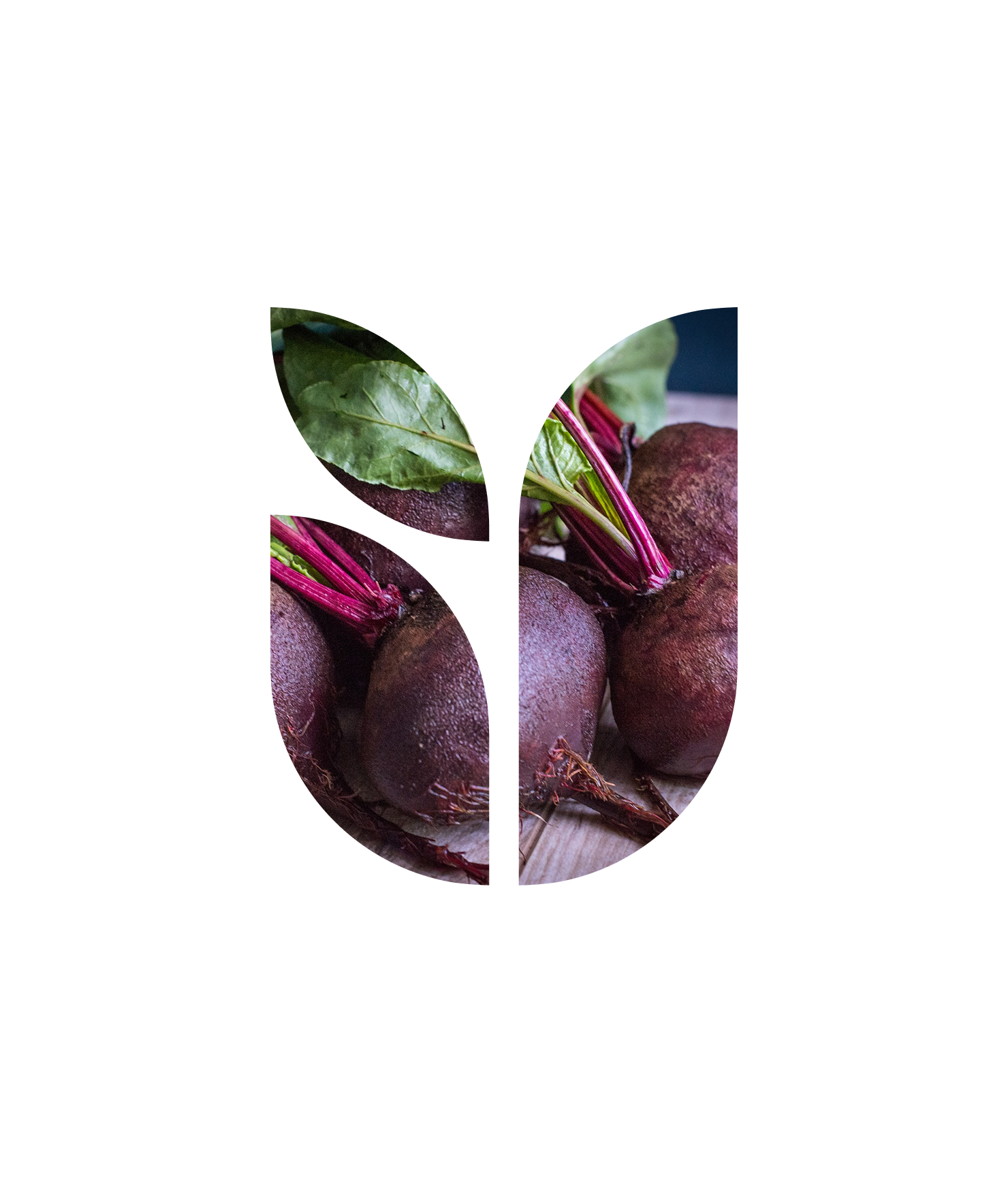 Буряк