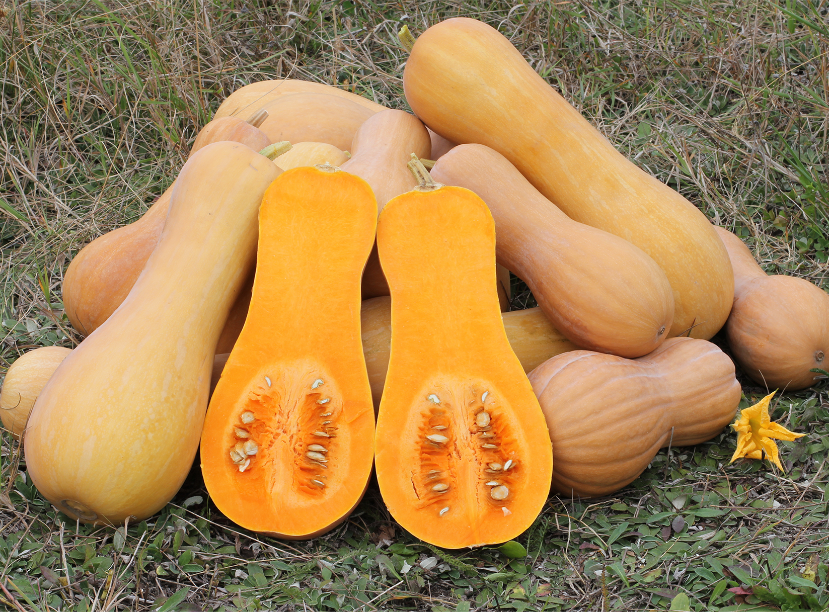 Продукція