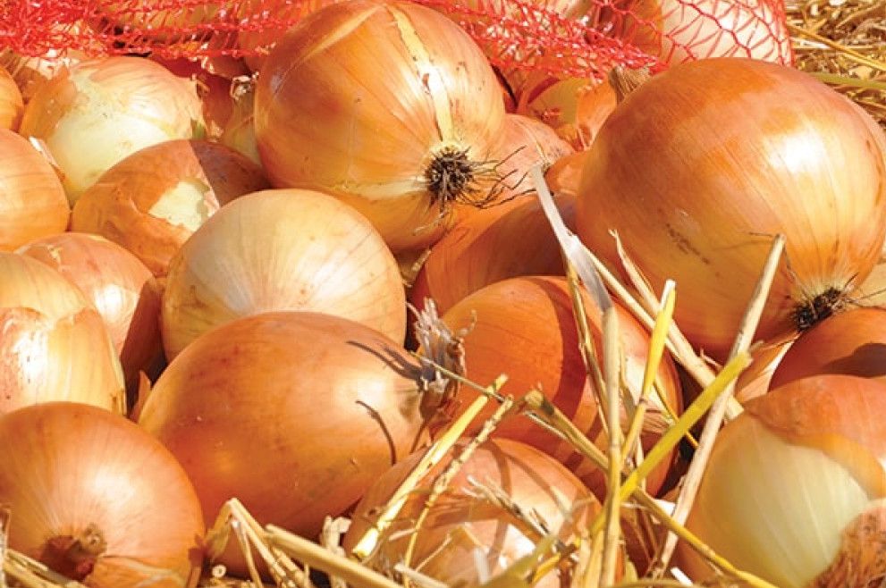 Продукція