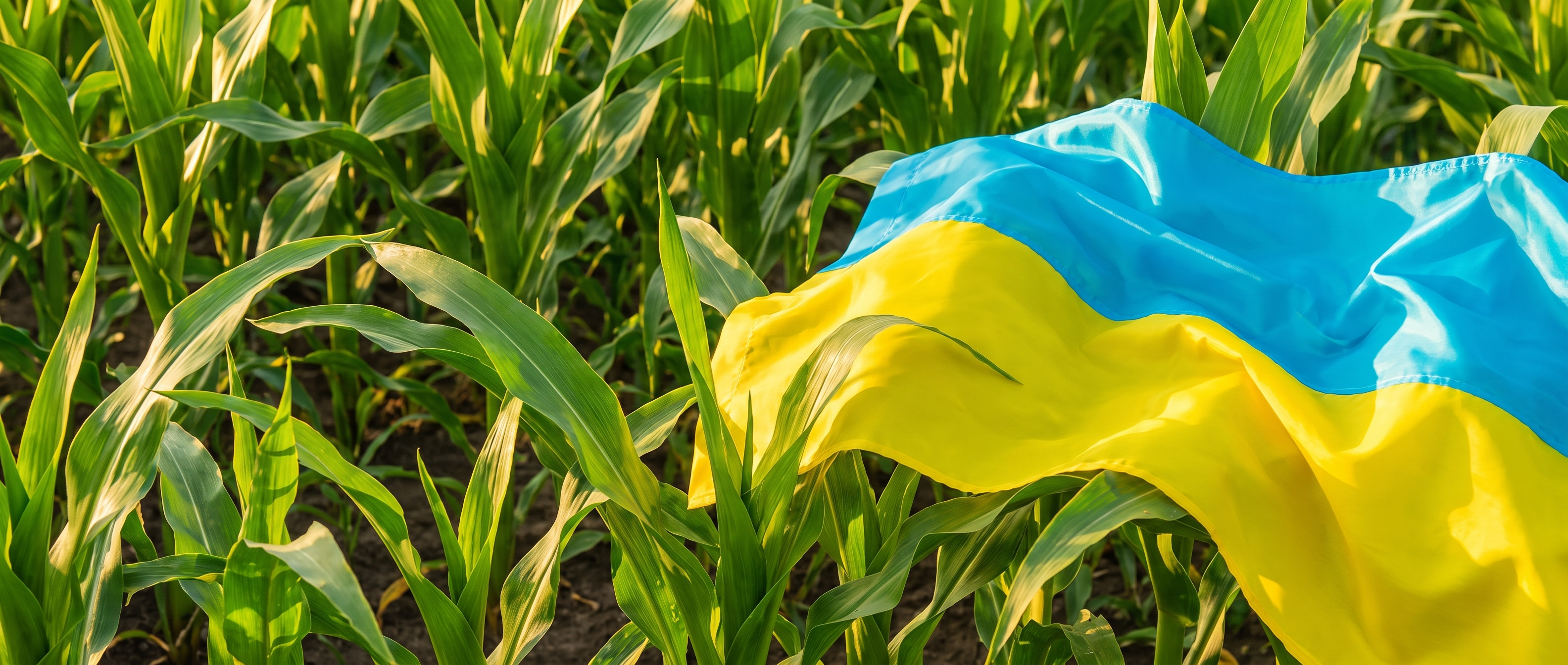 Місія
та цінності