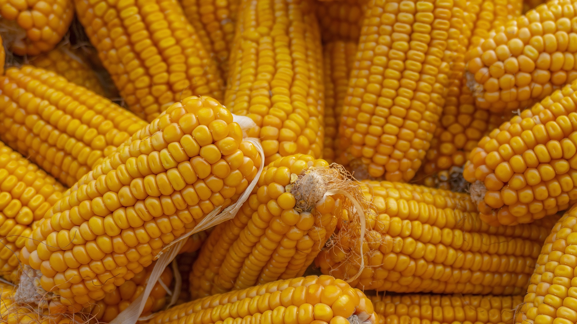 Продукція
